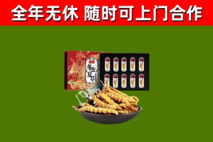 通州回收冬虫夏草价格